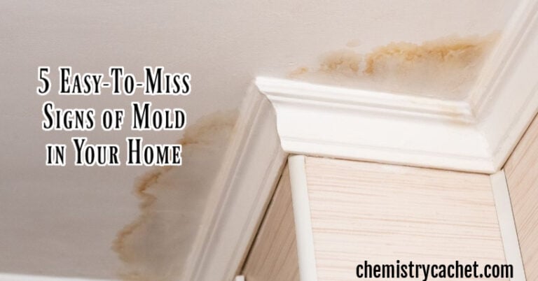 5 Easy-To-Miss Signs of Mold in Your Home