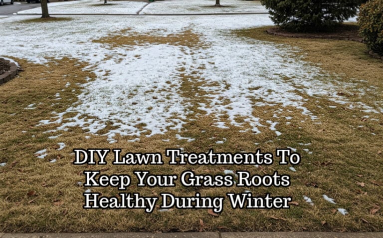 DIY Lawn Treatments To Keep Your Grass Roots Healthy During Winter