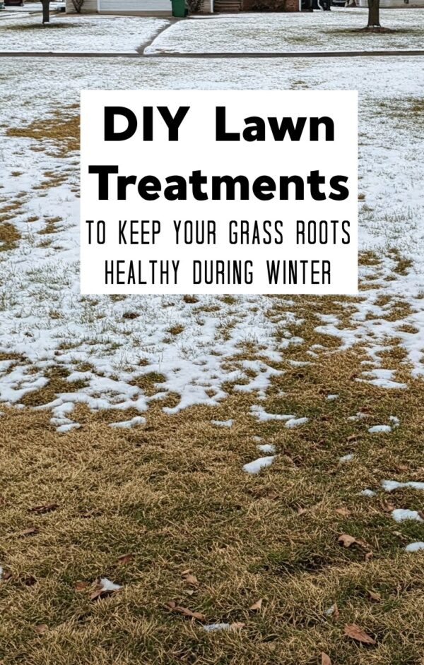 DIY Lawn Treatments To Keep Your Grass Roots Healthy During Winter