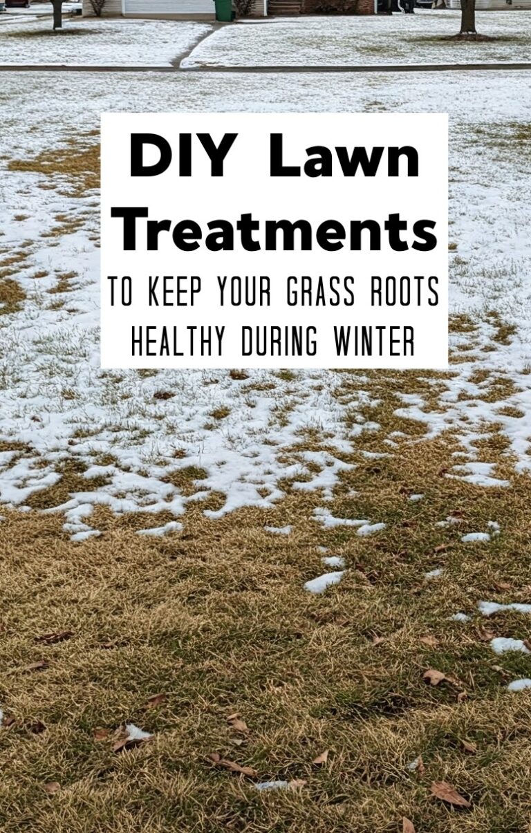 DIY Lawn Treatments To Keep Your Grass Roots Healthy During Winter
