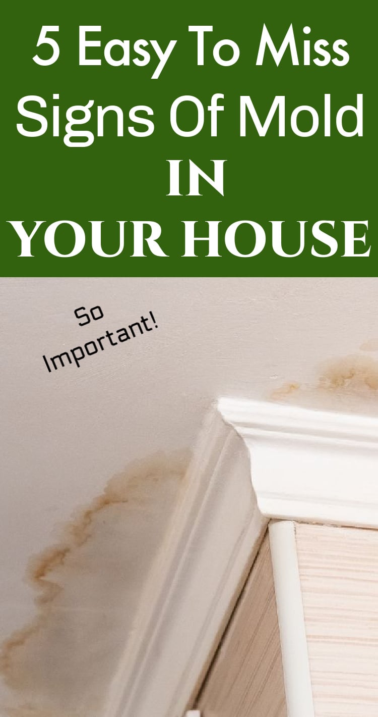 hidden signs of mold in a living room with water leaks on the ceiling