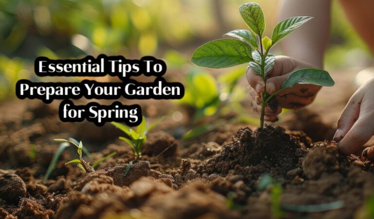 preparing to plant for spring