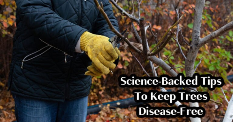 Science-Backed Tips To Keep Trees Disease-Free