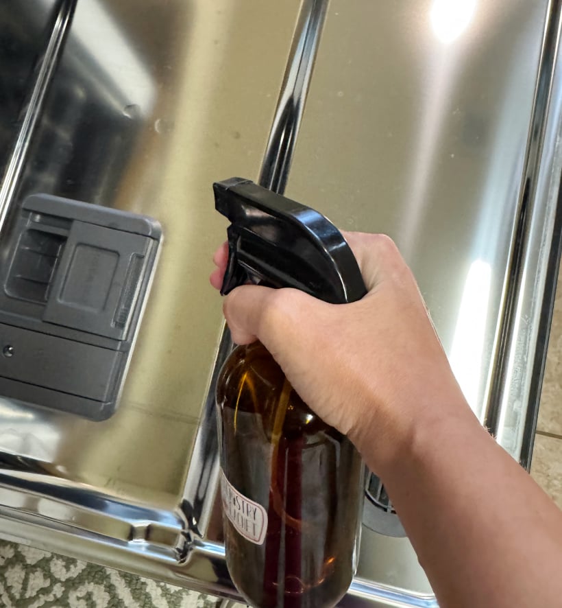 spraying dishwasher with diy mold spray with vinegar