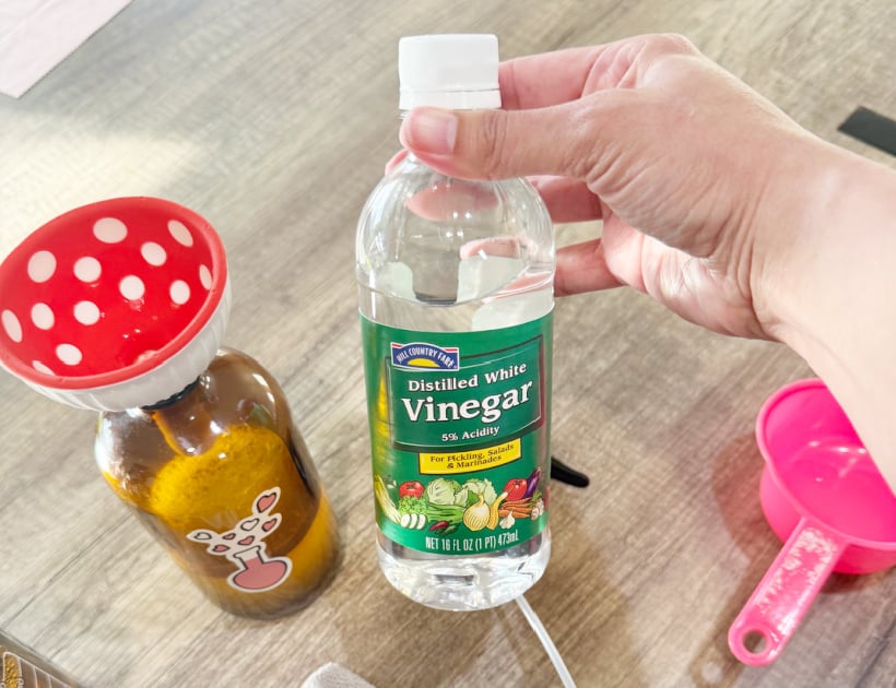 vinegar for diy dishwasher mold spray