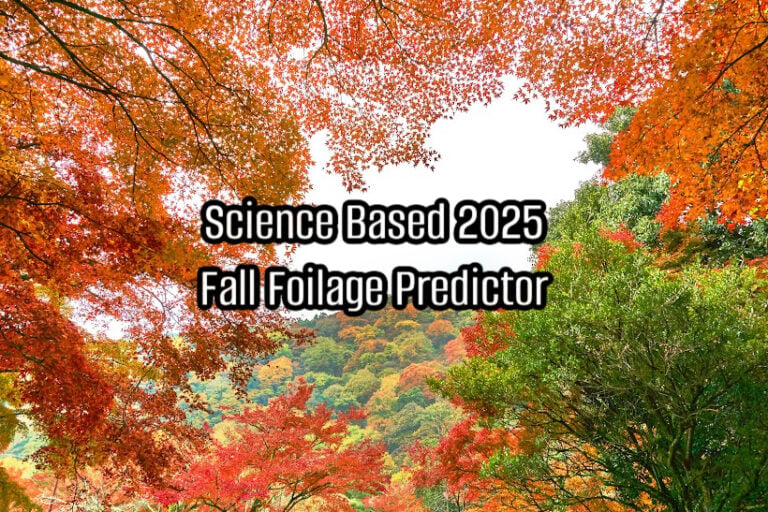 science based 2025 fall foliage predictor