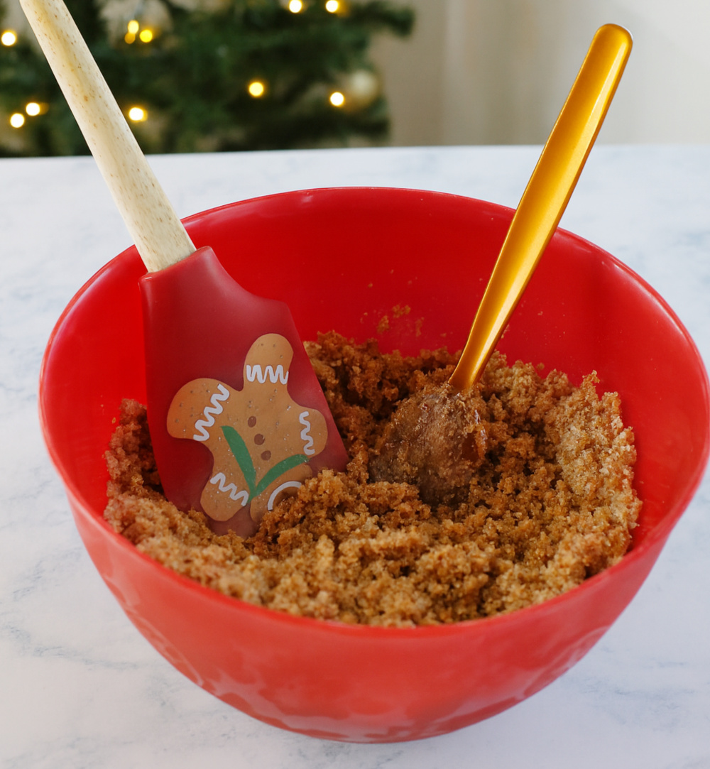 homemade sugar scrub Christmas gift