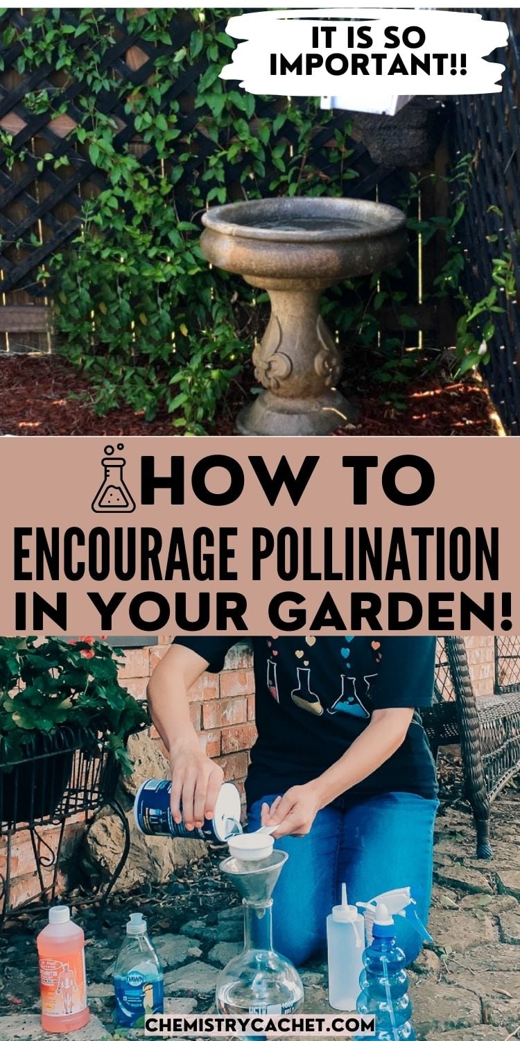 pollination tips