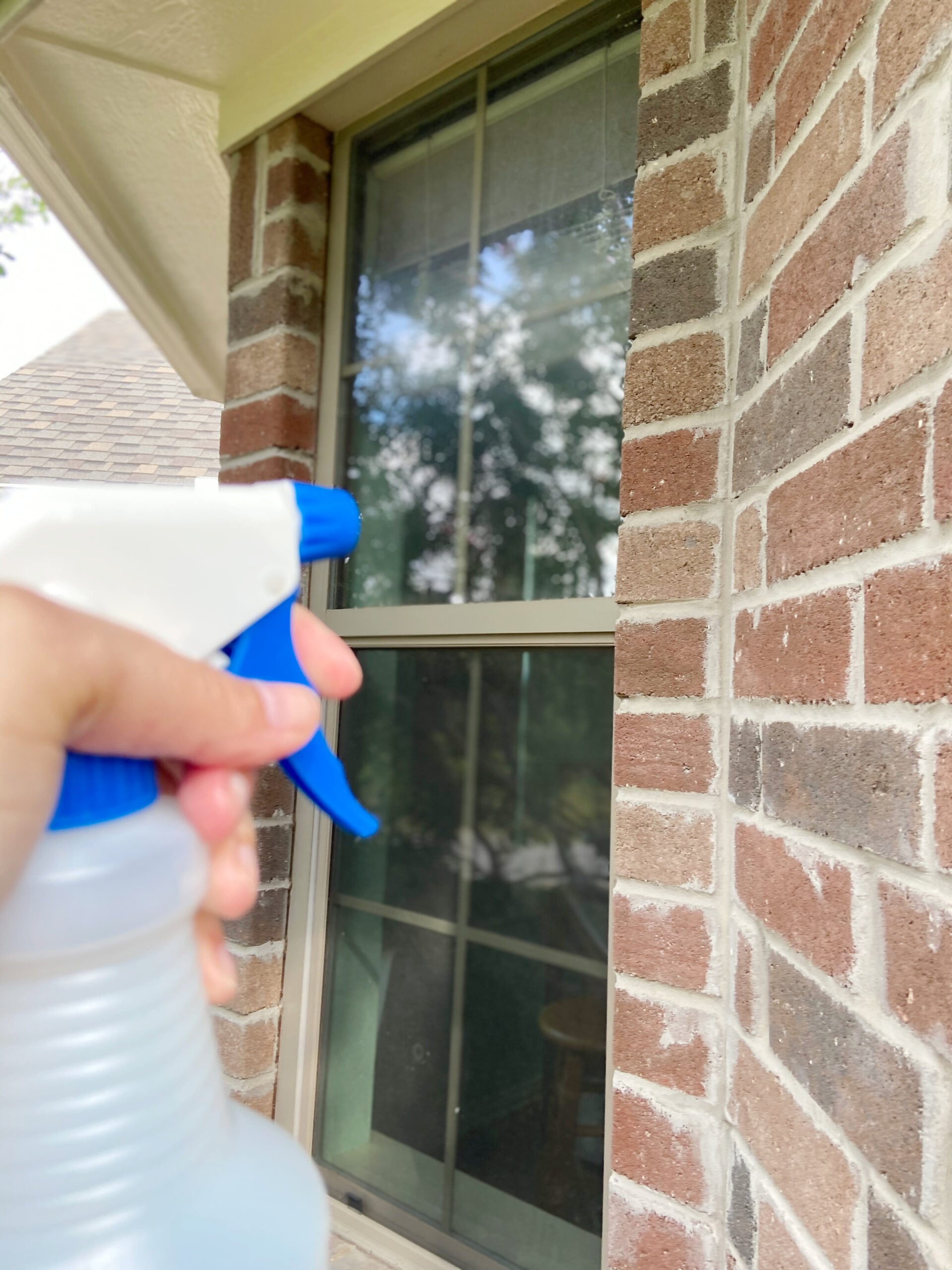 killing mold safely around windows
