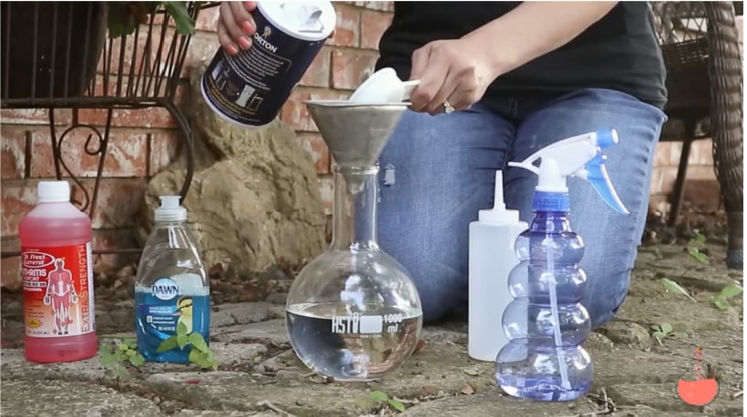 vinegar weed killer with salt