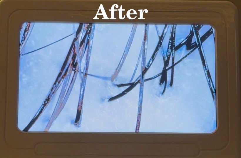 after Japanese head spa
